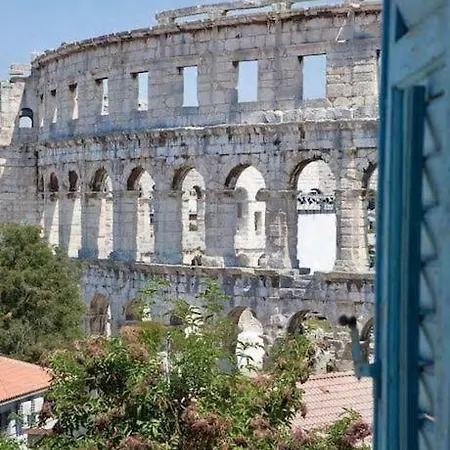 Arena View